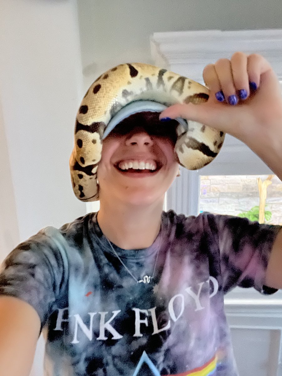 PoSnek's tweet photo. @NoisyButters https://t.co/qheWR1xVsj