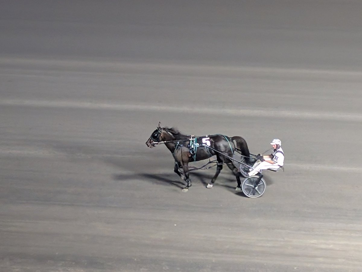 TheTriactor's tweet photo. Are we on our way to another Pick 5 carryover? R7 won by 10/1 DONATOVER (Mike Healey) &amp; R8 won by 5/1 DAY TRADER (William Roy, below) 🤔 @RideauCarleton https://t.co/Bpyl528dQq