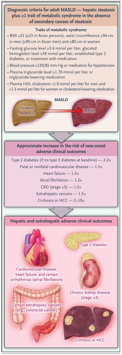 MHcsba's tweet photo. New England Journal of Medicine 2025: Enfermedad hepática esteatótica asociada a disfunción metabólica (MASLD)
#MedEd #MedTwitter #MedX 
DOI:10.1056/NEJMra2412865 https://t.co/mtqxP6h3Nn