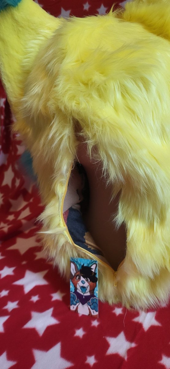 MMania749's tweet photo. Cute star wolf premade fursuit head! For $850 plus shipping. The inside is linned, has a zipper that opens in the back up to roughly a inch from the bottom for easier zipping up, follow me eyes, sparkling white eye boarders, teeth and a pickable nose. He's ready to find a home. https://t.co/unSg5pdwcg