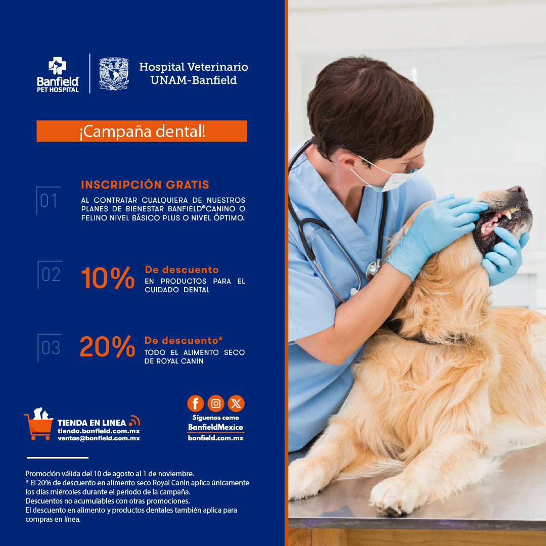BanfieldMexico's tweet photo. ¡Del 10 de agosto al 1 de noviembre tenemos promociones que te encantarán! 😍

Cuida a tu mascota y dale el bienestar que merece con los Planes de Bienestar Banfield®, los productos dentales y el alimento seco de Royal Canin. 

Descubre más detalles aquí: https://t.co/ATEvTbH22G https://t.co/7LA0GmGy2q