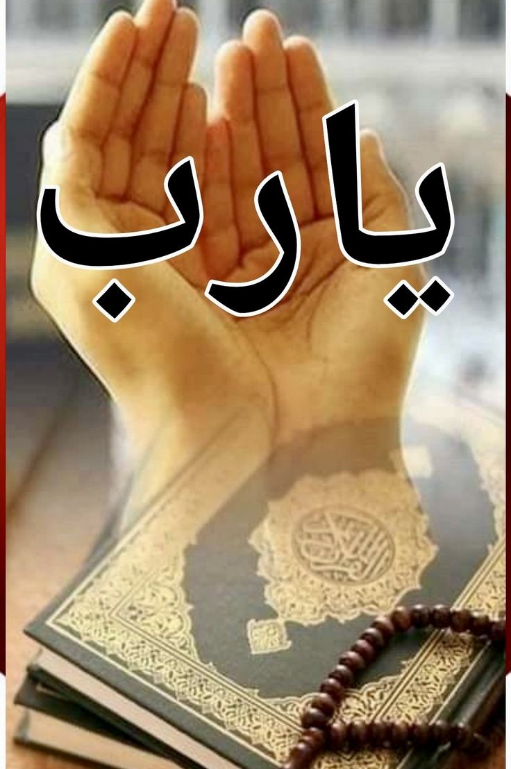 يَا ربَّ عوّضنا تعويض ينسينا كُل شي فقدناه، عوّضنا عن الانتظار، عن التعب، عن الدعوات اللي حسينا ما لها جواب.
 خلّي الجاي يفرّح كَلوبنا وينطيها راحة وسلام، لأن تعِبنا واحنا نستاهل نرتاح🕊.