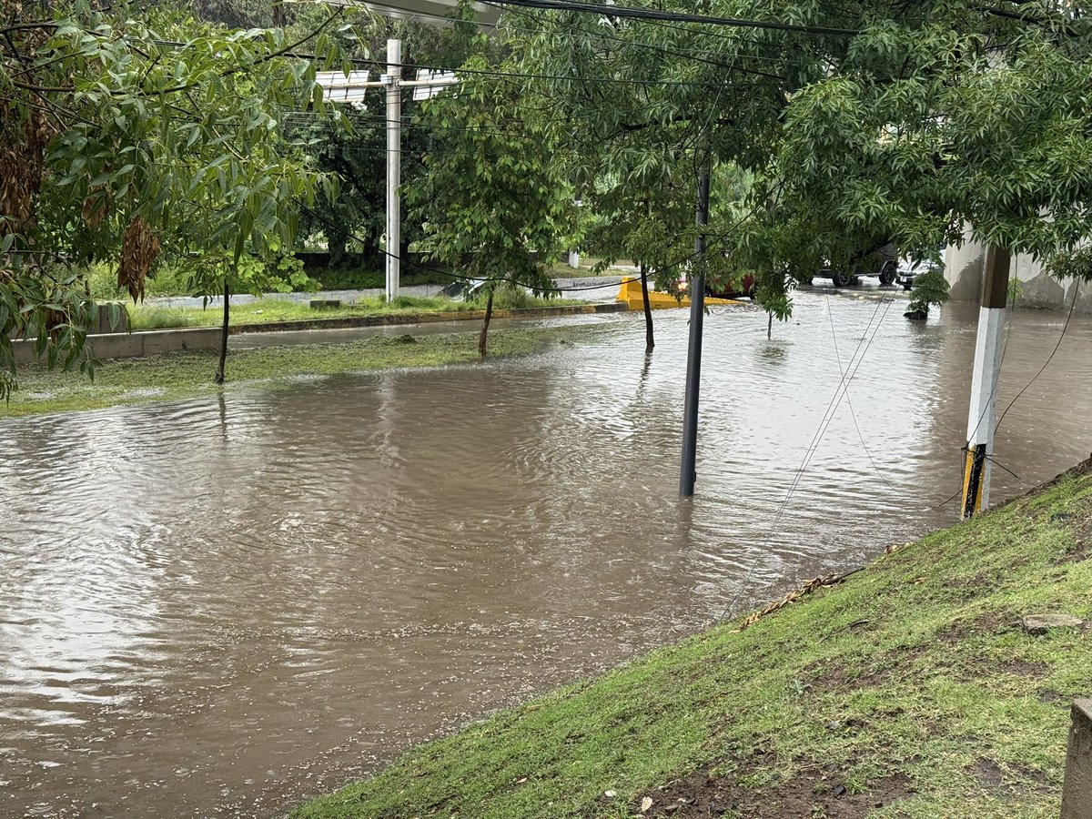 BelenDuarteF's tweet photo. @Trafico_ZMG Afuera del cumbres san Javier hacia zona real https://t.co/gx0wQBYLmf