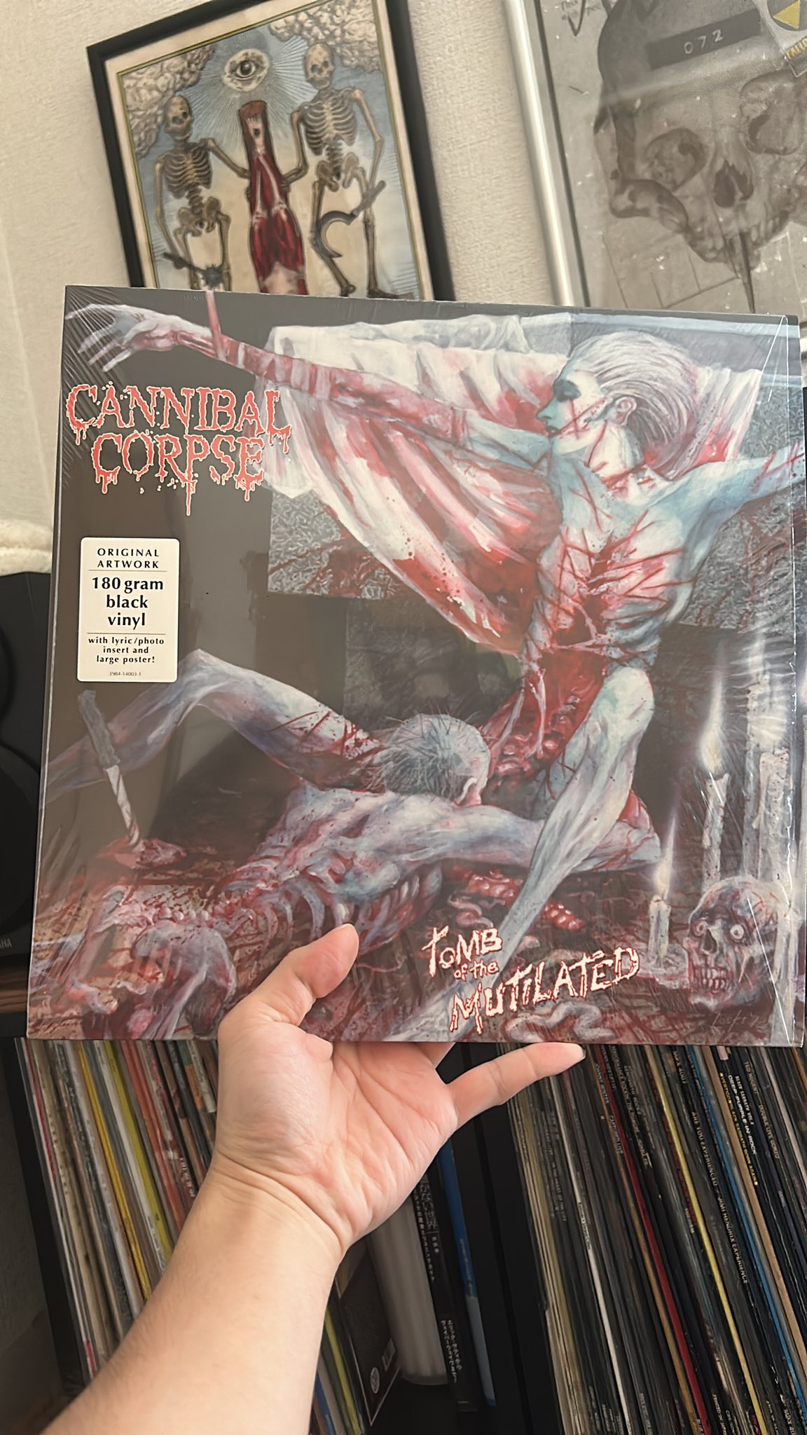 planta cadaver  貴重CD  デスメタル planta cadaver 貴重CD デスメタル planta cadaver 貴重CD