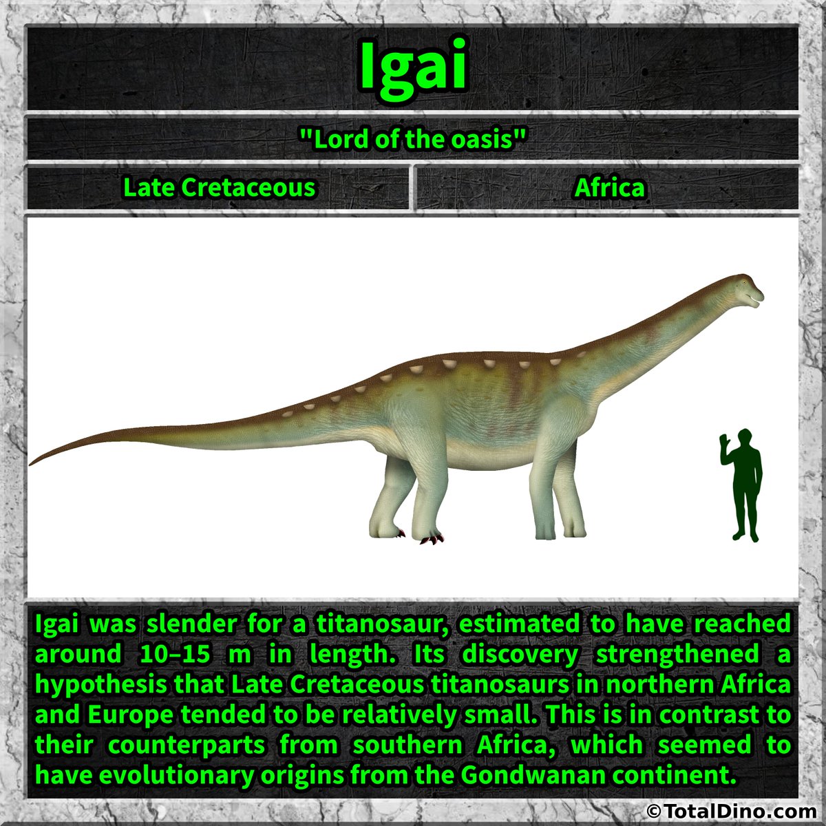 Total_Dino's tweet photo. #igai #dino #dinosaur #dinosaurs #cretaceous https://t.co/SdrDncKl4m