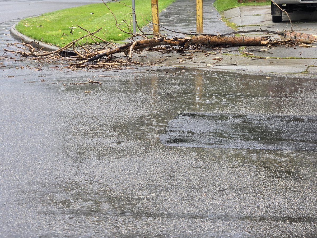 High winds in the storm that passed through south calgary.. some tree damage in se deer run ##abstorm