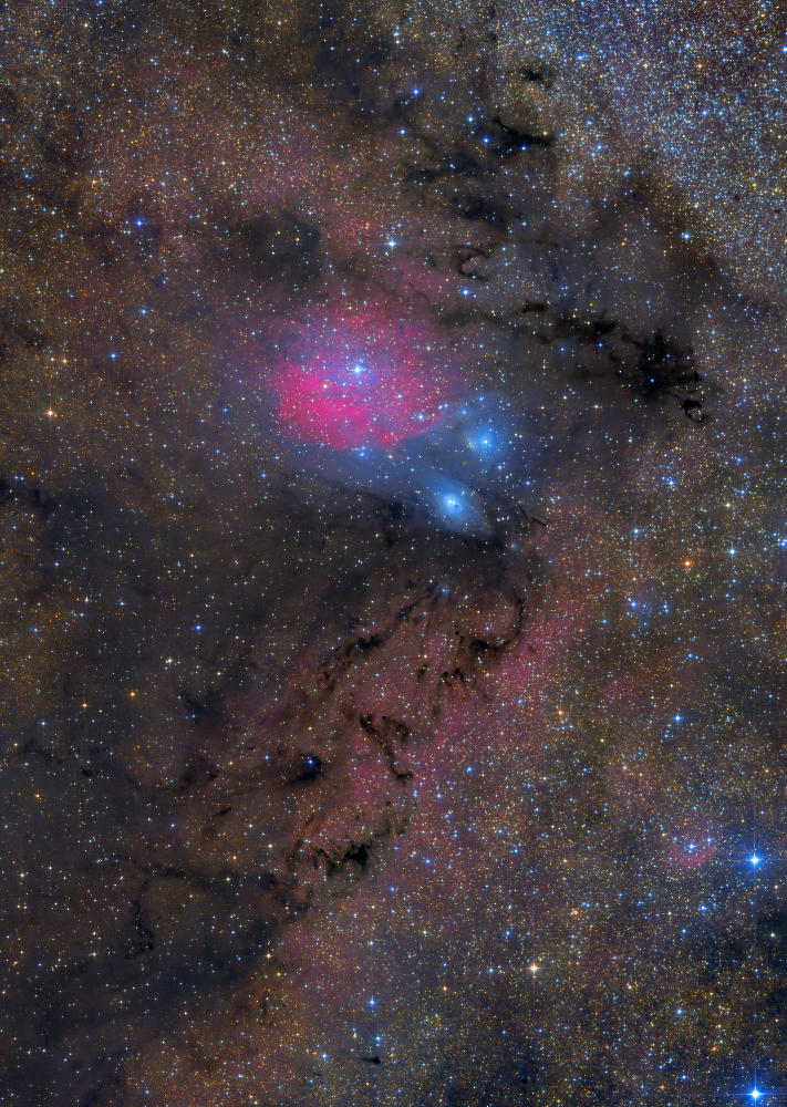 バンビの首飾りと呼ばれる星雲群（IC1283など）をε-160EDとASI2600MMで撮影しました。星雲の周囲に暗黒帯が走り、色合い豊かで立体感のある表情を見せてくれるエリアですね。