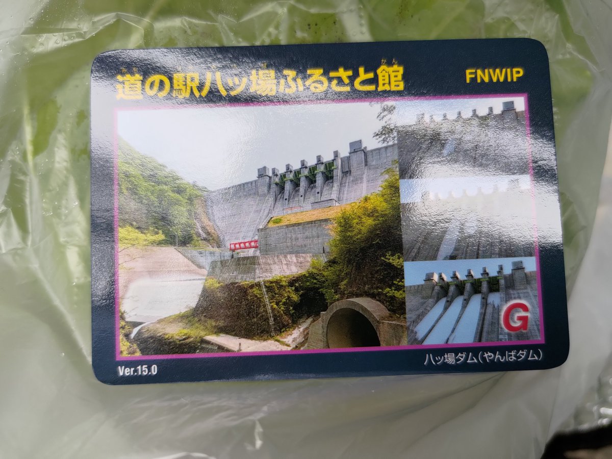 かみさと🐬 on X: 