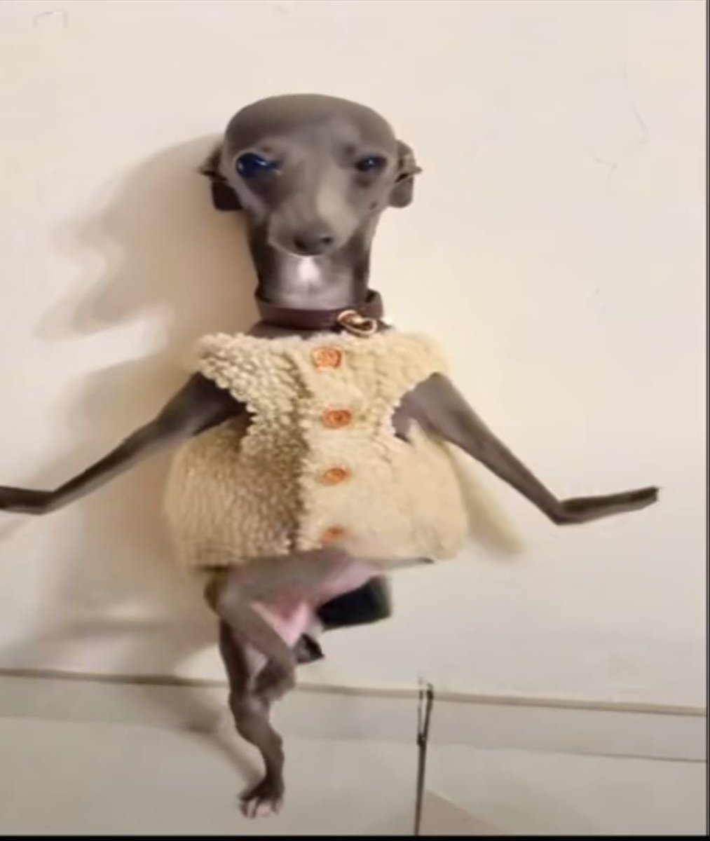 기분 이럼 지금