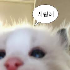 esi1224's tweet photo. 저 에몽이가 너무 더 좋아졋어요.
지금보다 두배 더 좋아할게여 🥰✌️ https://t.co/zpypMLjsyw