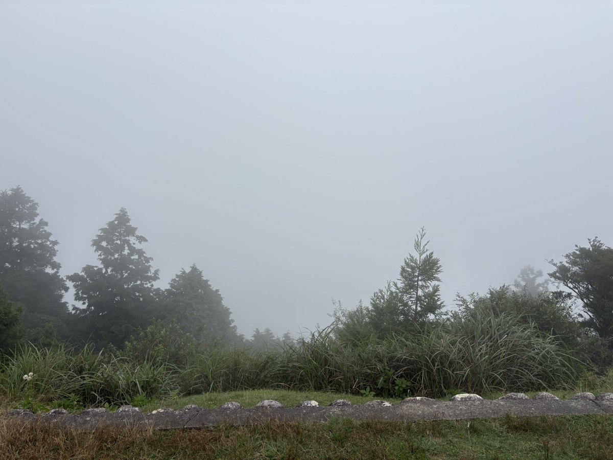 HatiRider's tweet photo. 三重の青山高原に来たけど、ガスってて何も見えんw
伊勢湾・富士山ビューポイントってなってるけど50m先も見えんwww
風車群もあるらしいのだが全く見えねぇーーーーwwww https://t.co/hnVt7lPnUz