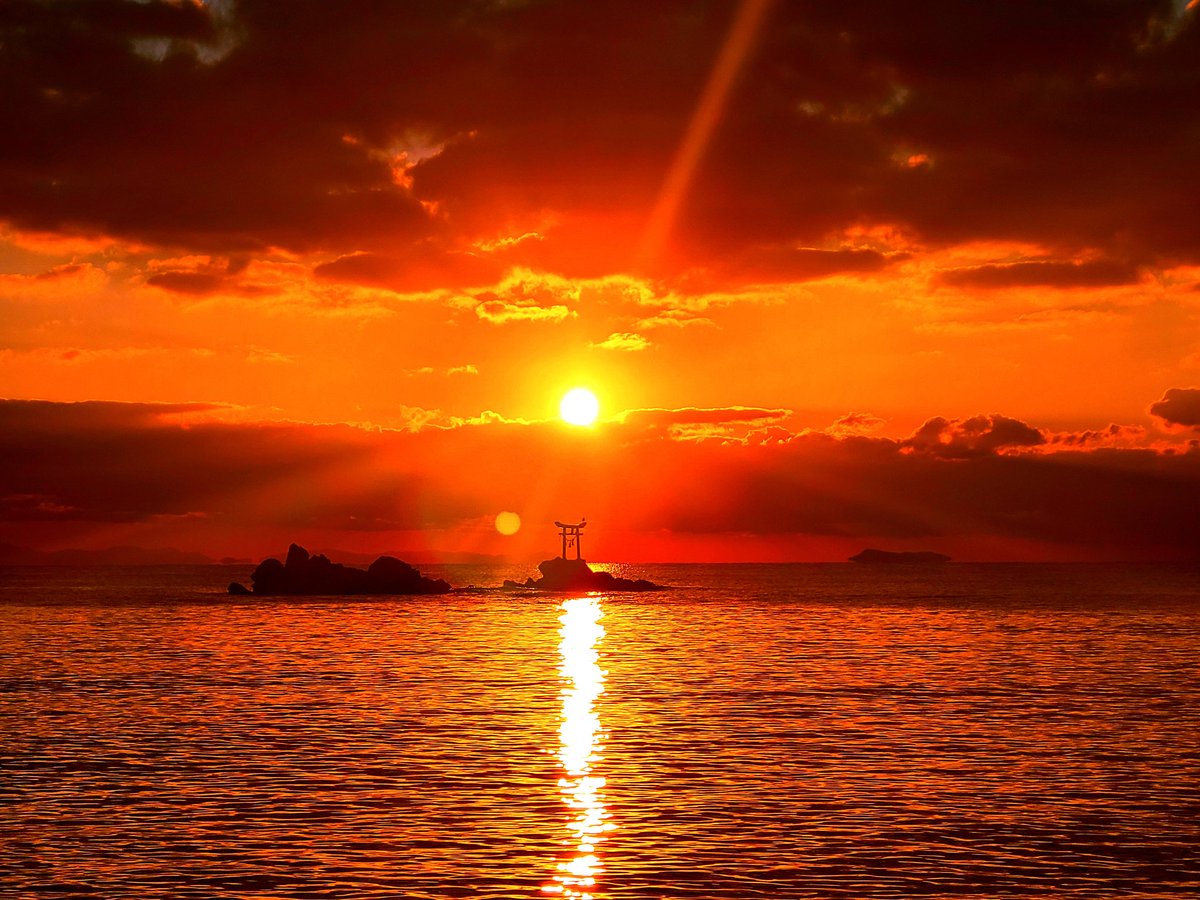 it_is_rusty's tweet image. おかえりなさい