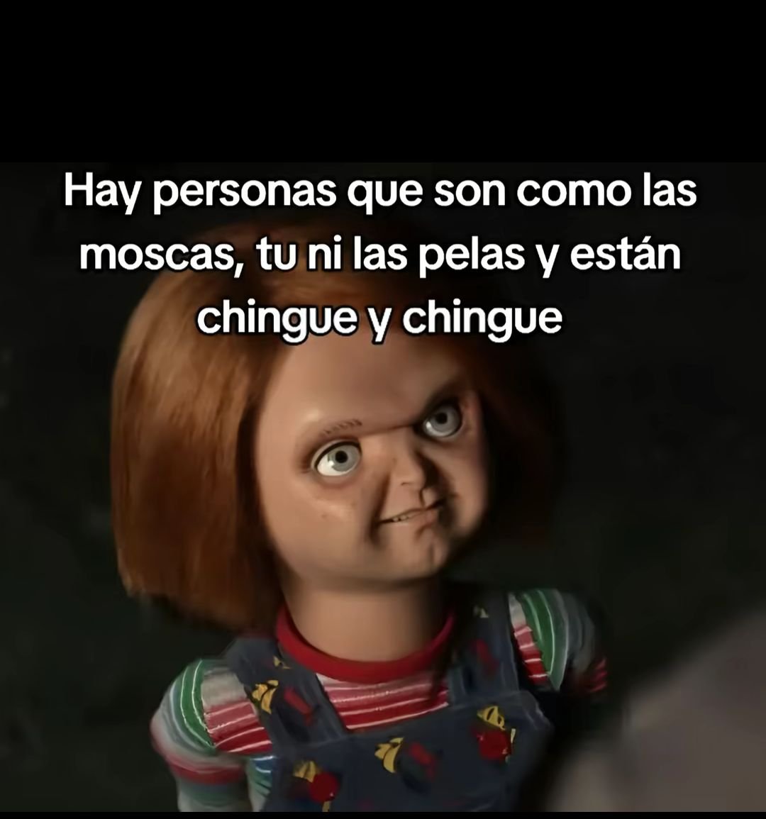 Así como los trollcetes fachos que ni idea de su existencia y con 3 seguidores, sin foto y desde 2009