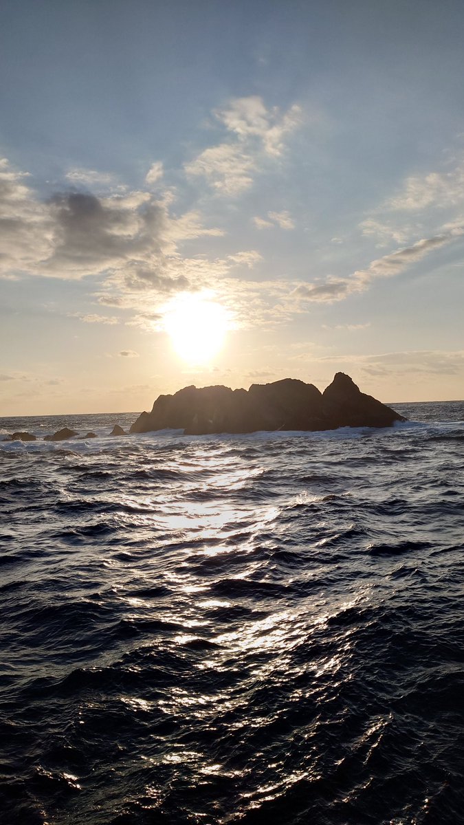 NoMoreTears____'s tweet photo. 最高ですよ☀️ https://t.co/7PuGLisp3m