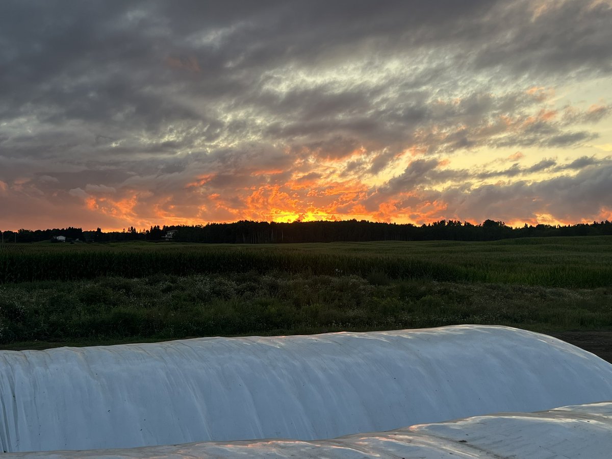 Bernie Kamphof tweet media