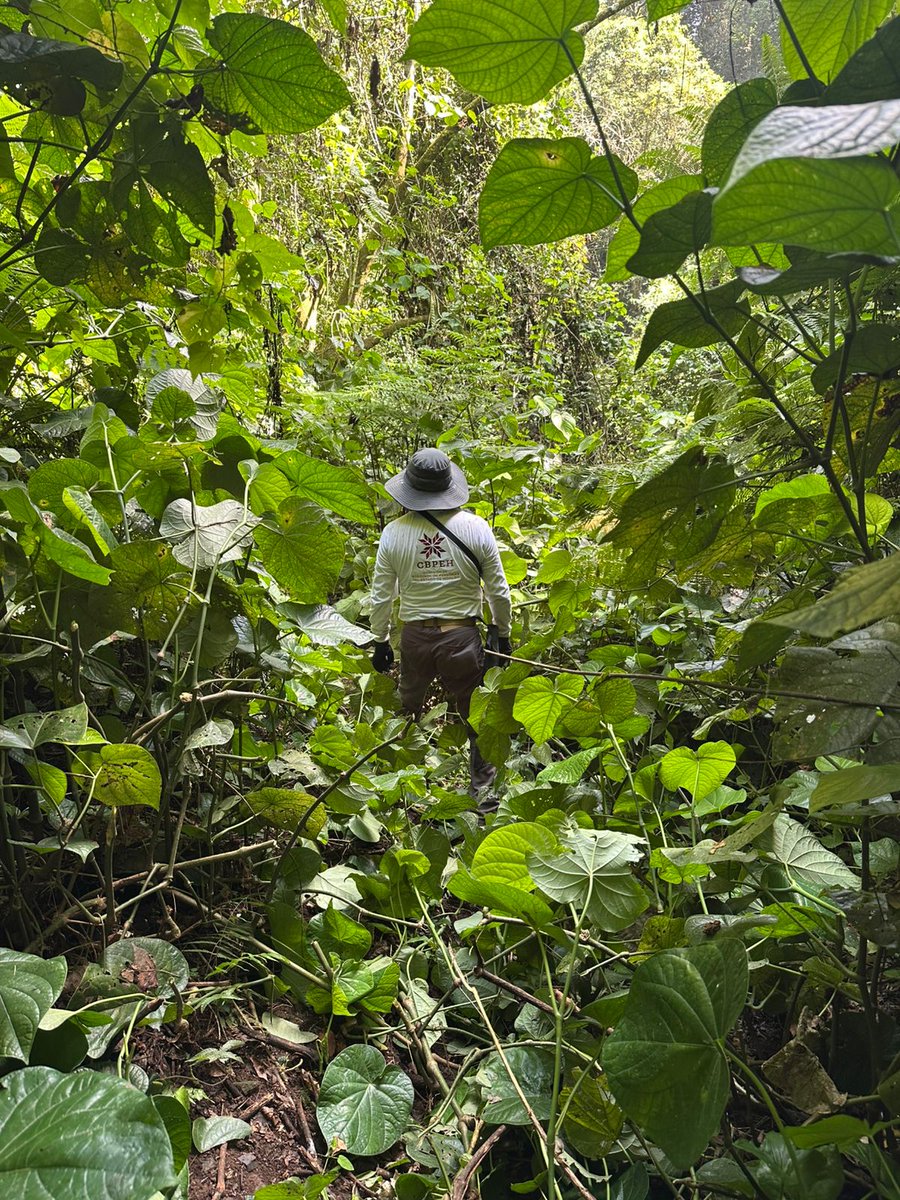 CBPEHidalgo's tweet image. La CBPEH, continúa efectuando búsqueda individualizada en favor de una persona de iniciales: R. G. V., en el municipio de Chapulhuacán