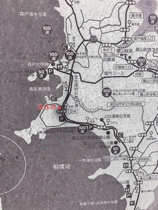 一色海岸に向かってる 