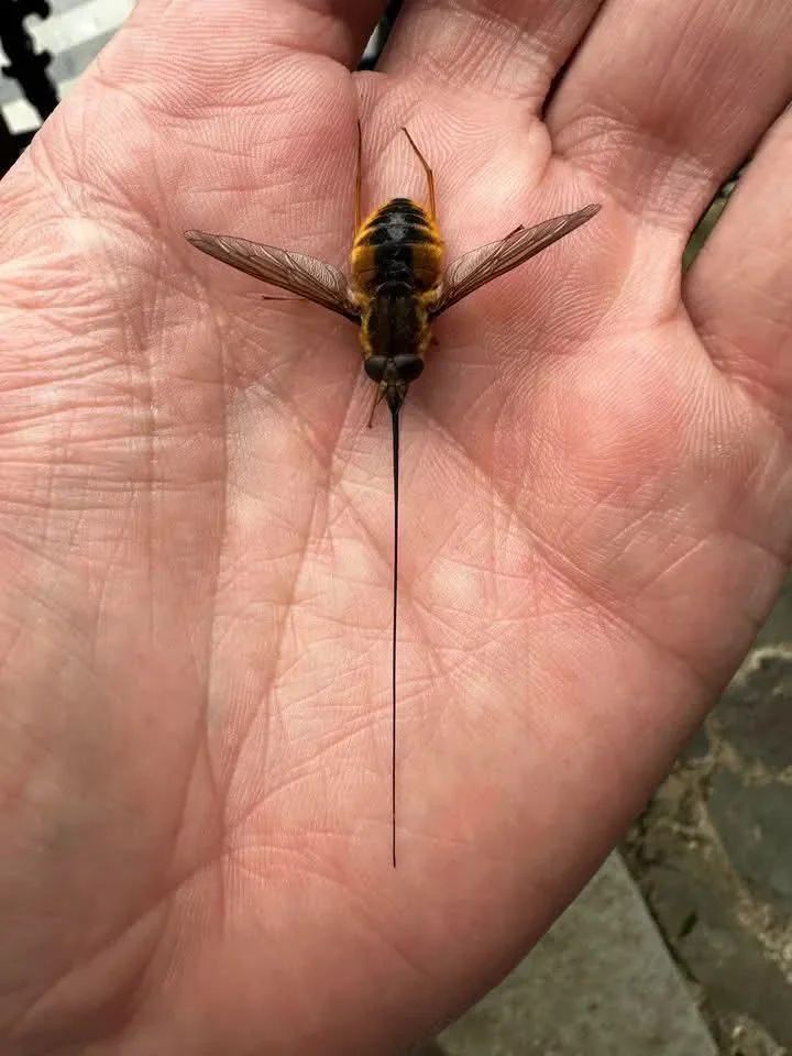 Nature is Amazing ☘️ tweet media