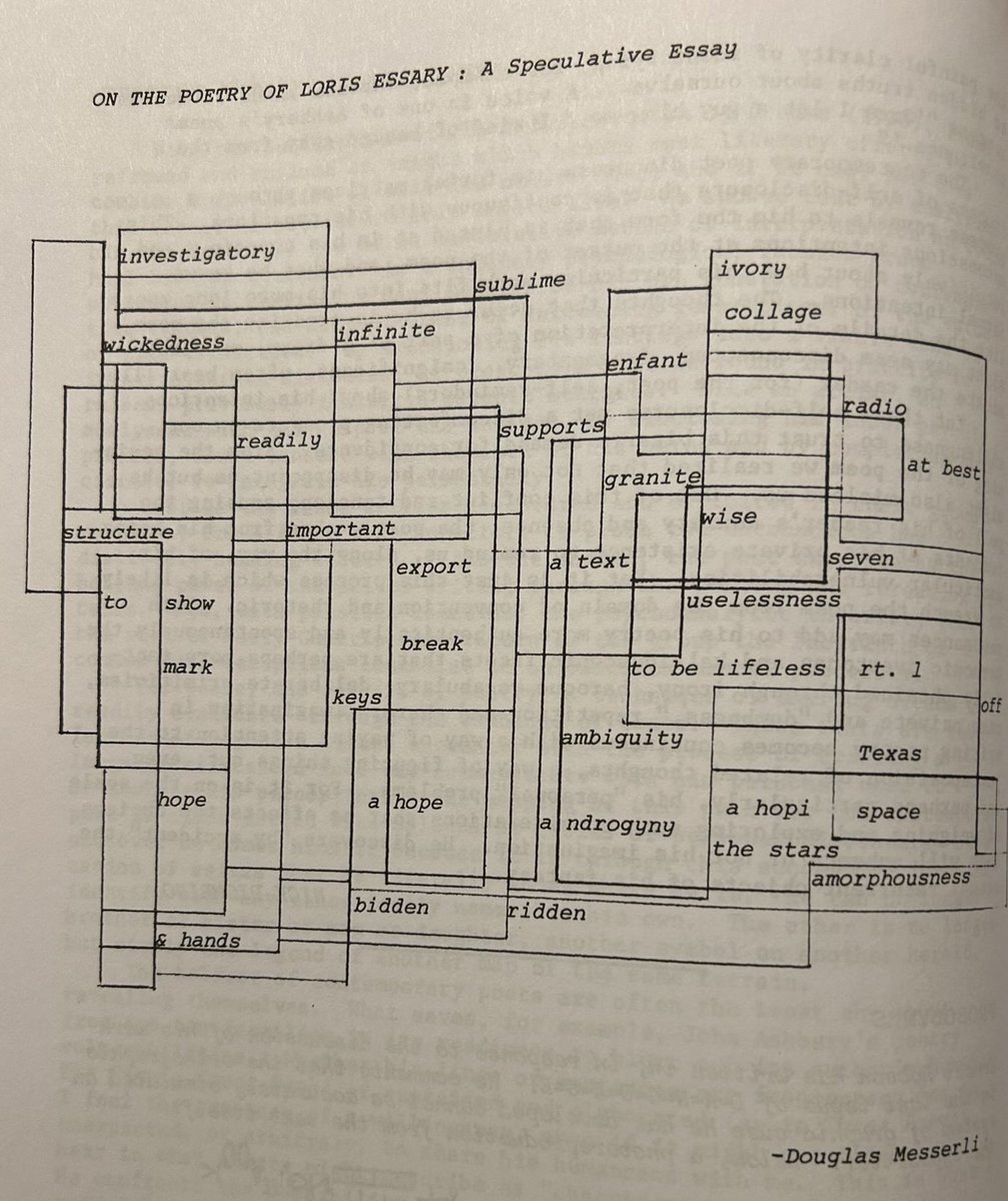 seangmeggeson's tweet photo. I think essays should be written like this. #experimentalwriting #avantgrade #language #poetry https://t.co/dYgmjixmmS