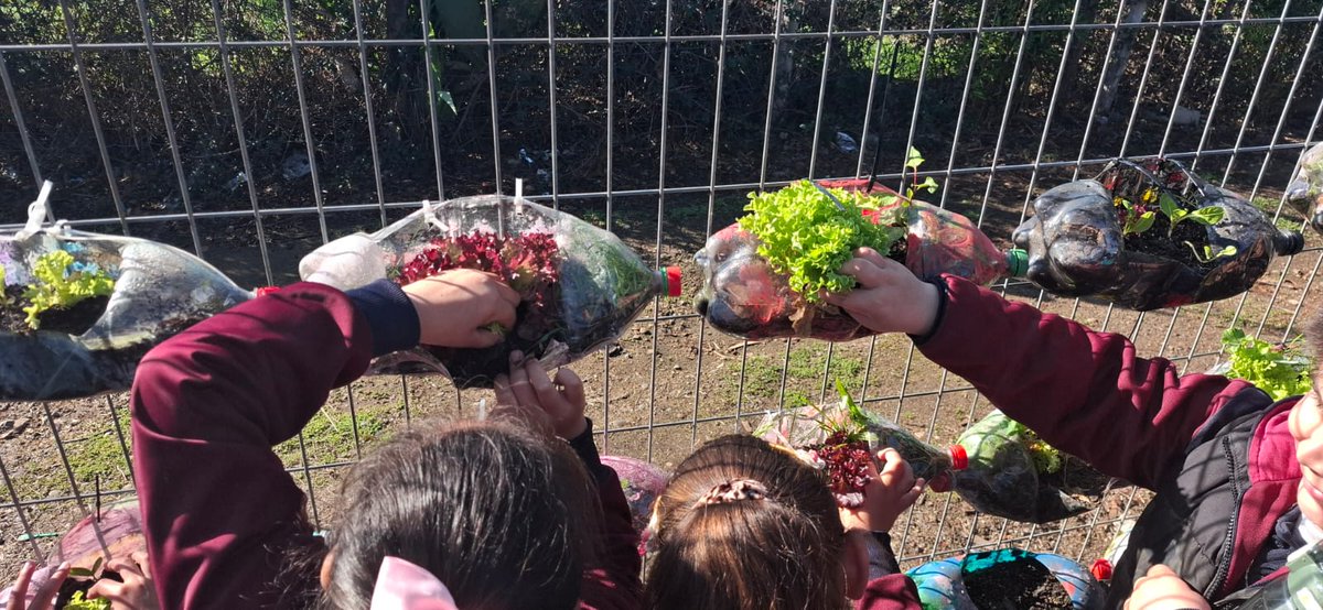 Escuela El Convento tweet media