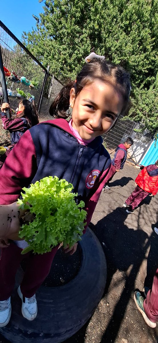 Escuela El Convento tweet media