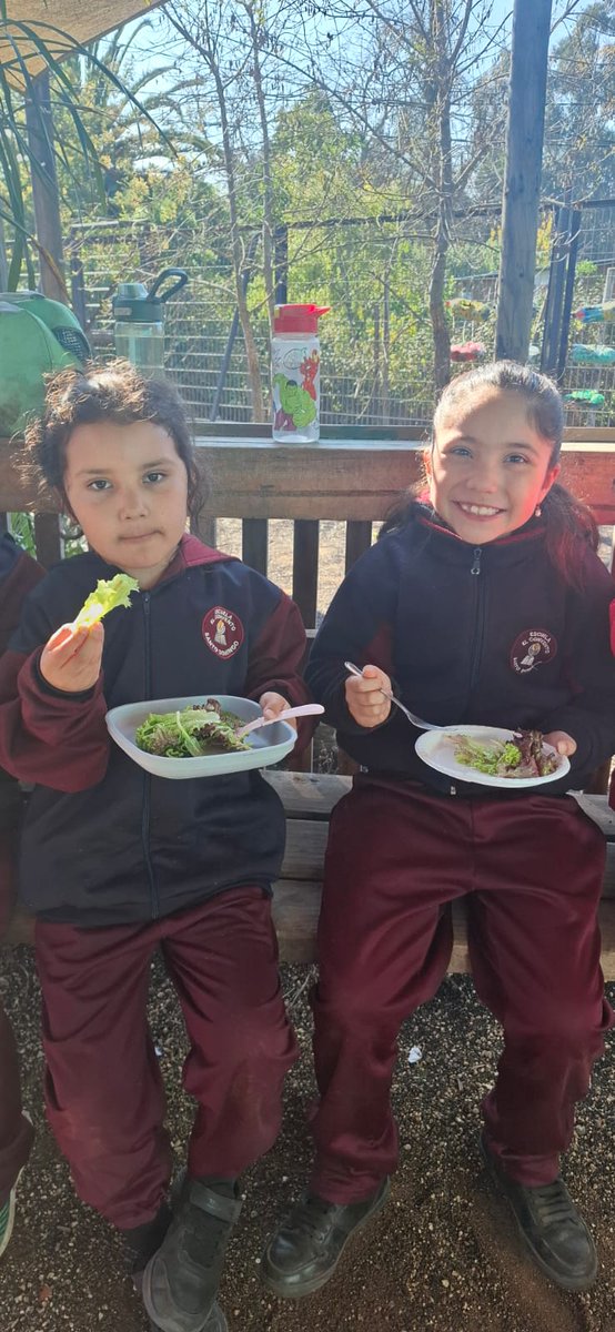 Escuela El Convento tweet media