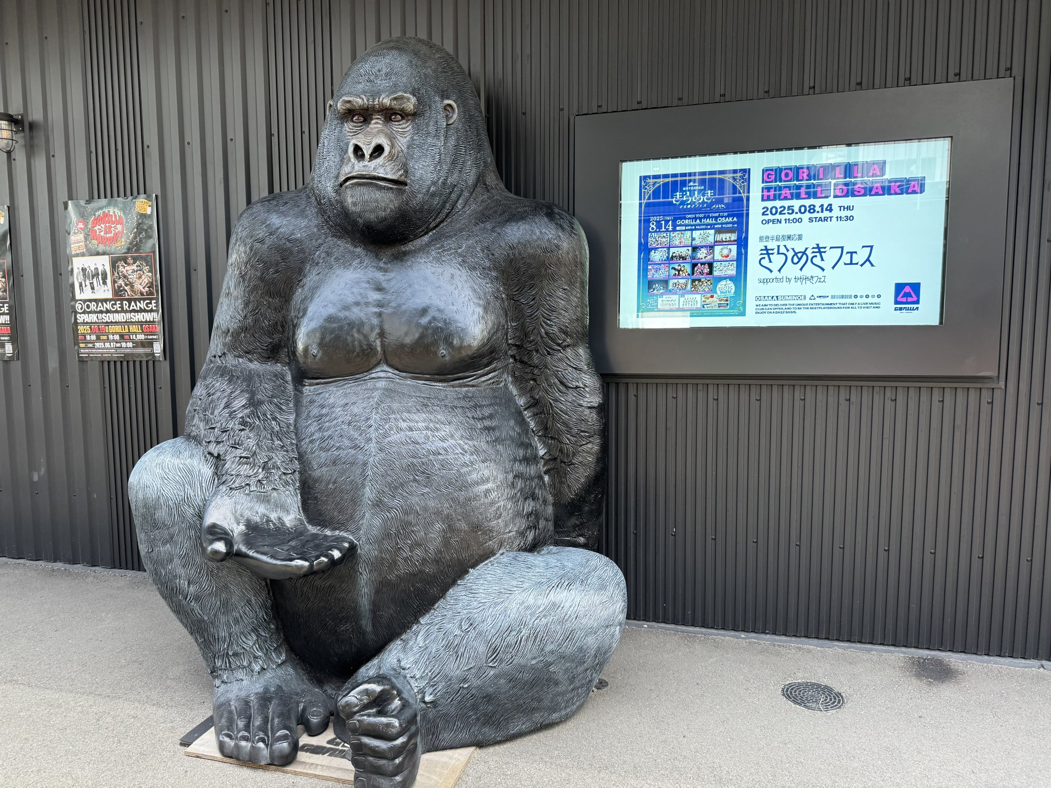 ゴリラズ gorillas レア本 Animal Adventure Gorilla (Wild Version) Figure