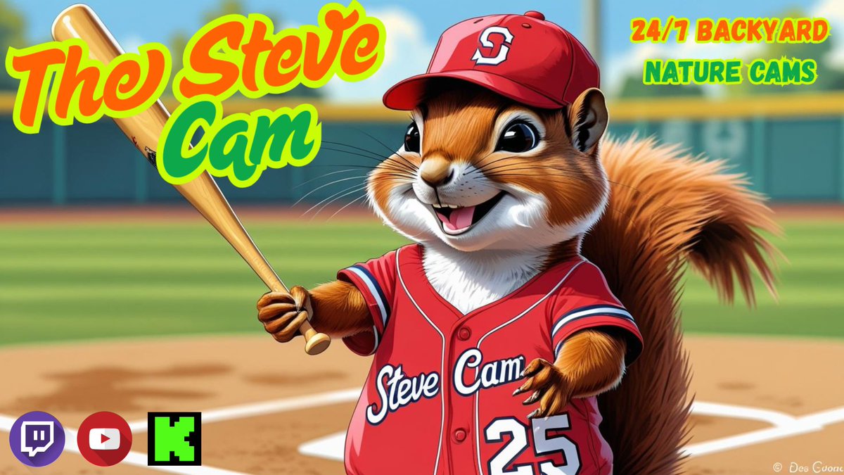 TheSteveCam (@the_steve_cam) on Twitter photo 
