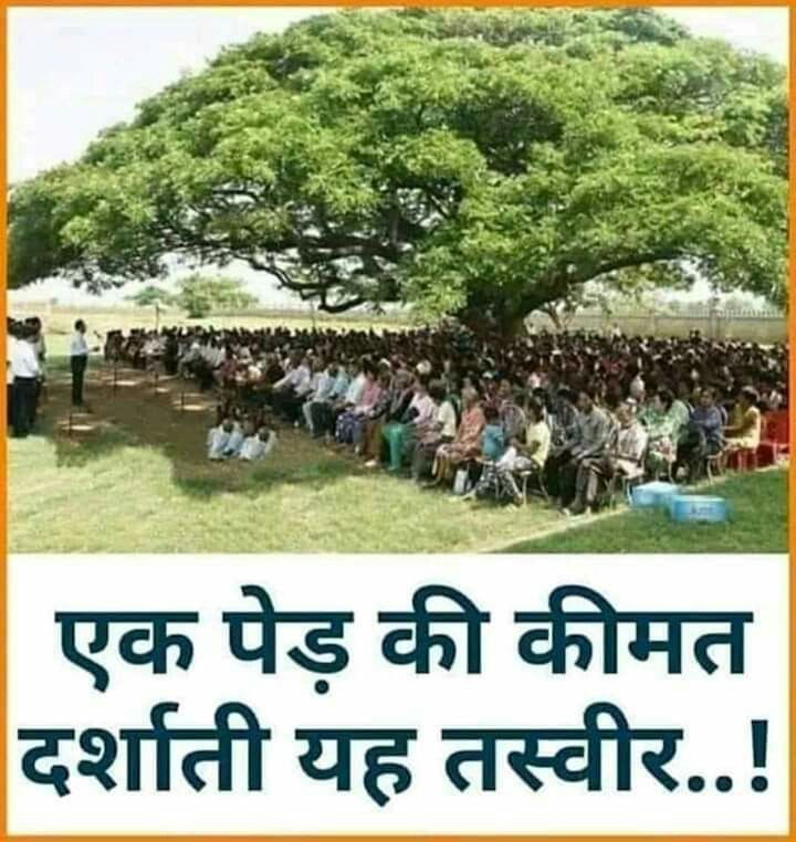 Teg470253223935's tweet image. Save Tree 🌲🌴🌳...Save life 🌎🙏
.
.
#treeplantion #savetreesavelife
#MotivationDaily