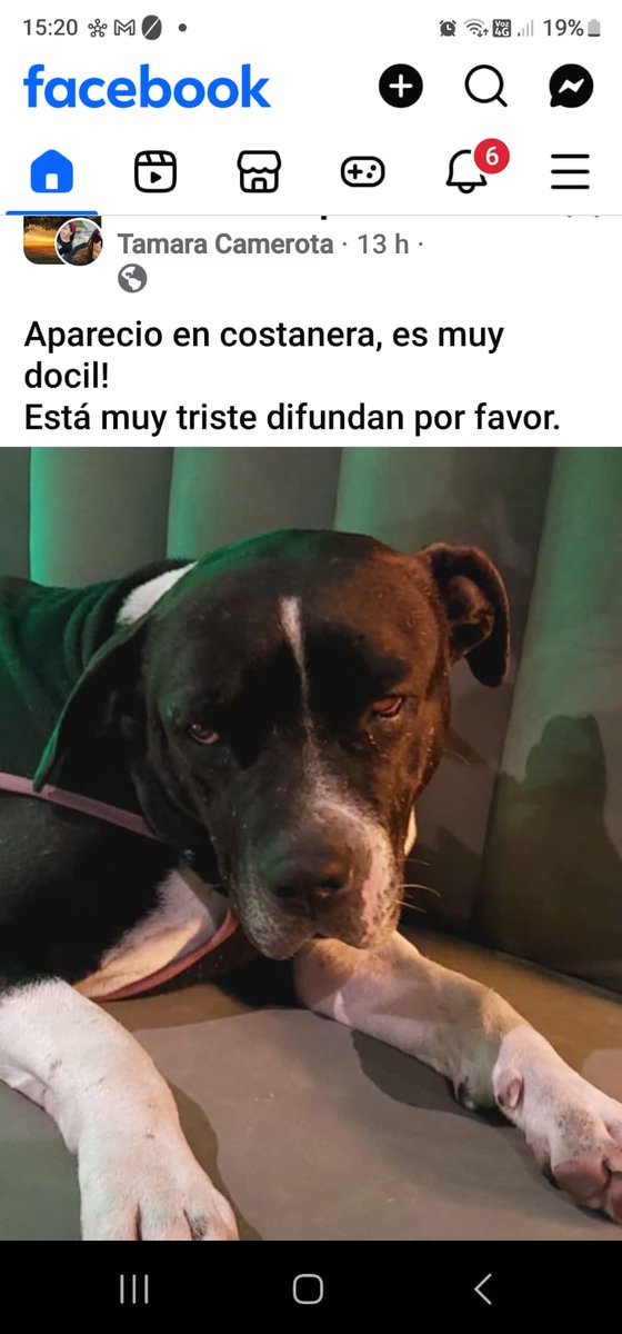 ❤️🙏SU FAMILIA POR FAVOR ESTÁ MUY TRISTE!!!!