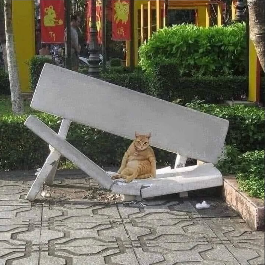 JoyfullCat's tweet photo. 😱😱 https://t.co/WFwG1cVoeZ
