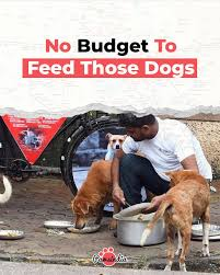dilthi_gujarati's tweet photo. 🚨 Reality Check on #Delhi #straydogs  Relocation Fantasy 🚨 #StrayDogsMatter 

Dear, @SupremeCourtIND #SupremeCourtofIndia 

#DelhiNCR has an estimated 3,00,000 stray dogs.

To keep them permanently in shelters, basic costs per year would be:

🐾 Food (1 meal/day): ₹20 per dog/day → ₹60,00,000/day → ₹219 crore/year

💉 Vaccination (annual): ₹300/dog → ₹9 crore/year

✂ Sterilisation (one-time, over 2 years): ₹1,200/dog → ₹36 crore

🏥 Basic Medical Care: ₹500/dog/year → ₹15 crore/year

🏠 Shelter Construction & Maintenance: Minimum ₹15,000/dog → ₹4,500 crore (one-time)

🛡 Security & Staff: ₹3,000/dog/year → ₹900 crore/year

💥 Total first-year cost: ₹5,679 crore

💥 Subsequent annual running cost: ₹1,143 crore/year

All this for just #Delhi — not the rest of #India
---------------------------------------
Yet, the @BJP4India  BJP government & @MCD_Delhi  cannot even clean Yamuna after spending ₹15,000 crore in the name of cleaning it — and now they claim they can humanely house & care for 3 lakh dogs permanently? 

@CMODelhi @narendramodi @AmitShah 
Think rationale, stop supporting @VijayGoelBJP He is trying to destroy the image of India. 

This is #Bharat not #Turkey or #Morocco #China #Pakistan who kills animals. Stop destroying Bharat Inside Out. #savedelhincrdogs2025 
---------------------------------------
💾 Almost 5 Lakh Animals Brutally Abused in 10 Years in #India #Bharat🚨
As per a @FIAPOIndia  report (2021):
> “4,93,910 animals" — including cows, dogs and wild species — were documented victims of crimes like burning, acid attacks, rape, poisoning and torture.”

Source: https://t.co/Obq7x9oa9y
---------------------------------------
🐾 Animal Cruelty & Street Murders – A Hidden Epidemic

🐕Stray Dogs & Cats: In #India 71 million face cruelty daily; thousands die in road accidents, beatings, poisonings, burning them alive by humans and small kids.

Proof Humans Killing Animals :
Biggest Collection of Animal Murders Cruelty by Humans
https://t.co/rm0jQKiuET

🐘Wildlife: 301 elephants electrocuted (2018–2021), 665 leopards killed (2012–2017), thousands due to habitat loss.

🐕Pets: Abandoned due to trends; most die unreported.
Sources: MoEFCC, Nature Conservation Foundation, AWBI
---------------------------------
🧬 Disease of Sadism & Phobia of Dogs – A Hidden Human Crisis

Daily, we receive SOS alerts: “Dogs are about to be poisoned.” “Puppies burned.” “Cows beaten with iron rods.” These go unreported.

🛑Meanwhile, sadistic behavior (cruelty for pleasure) and cynophobia (irrational fear of dogs) remain unaddressed psychological issues — but their consequences are borne by voiceless animals who are killed for it.

🚨There’s a growing pattern of sadistic behavior on animals for fun or hatred

Just like rape and torture, this stems from:
🛑Lack of empathy education
🛑Broken implementation of laws
🛑Media-fueled dog phobia encouraging mass violence on animals
--------------------------------------
🚨 Propaganda Alert: Targeting Stray Dogs for TRP and Fearmongering

🆘News platforms like @Republic_Bharat  recently published a segment titled:

> "Rashtra Sarvopari: 60000000 कुत्तों ने 30 लाख लोगों को काटा!"

🆘This figure is not only misleading but factually unverified and dangerously provocative. These inflated numbers create mass fear, which leads to brutal consequences: stray dogs are poisoned, relocated, beaten, burned alive or driven over by vehicles — a direct result of fearmongering fueled by irresponsible journalism.

🆘Let’s be clear: There is no scientific or verified data confirming 30 lakh dog bite cases by 60 million dogs as claimed. On the contrary, every dog bite incident must be examined in context — most attacks are provoked, arising due to chronic abuse, starvation, and psychological trauma, murder & Torture inflicted on dogs & Animals by humans.

🧠 The Psychology of Animal Behavior & Human-Caused Trauma - Victim, Not Villain

🇮🇳 Animals do not attack without provocation. 100% of animal attacks are defensive or stress-induced, rooted in years of cruelty. Imagine being beaten, burnt, chased, starved, and still expected to behave docilely and peacefully?

⚠If the same abuse happened to humans or their kids for years, would they not break down psychologically and attack the abuser?

🐕Then why do we expect voiceless beings to tolerate endless pain and remain peaceful and don't attack to save their lives from daily torture and murder by human's?

This is not just unethical — it's hypocritical.

Dogs never attack unless provoked
Chronic abuse, starvation, territory loss trigger defense reactions
This is not “aggression” but learned trauma — like humans in PTSD.

🆘Yet, the solution media suggests is: kill, cull, remove, relocate Animals to save humans.

But #NEWS  #Media never get into root cause of animal attacks. Animals attack when human's have tortured them daily. But human's are smart and animals are dumb. Humans can be able to hide their mischievous sadistic behaviour but animals cannot do it. So media use them for TRP & TARGETTED DEFAMATION.
--------------------------------------
Truth: This is not about welfare. This is about vote bank politics & appeasing dog-haters, at the cost of constitutional duties under Article 51A(g) and the ABC Rules, 2023, PCA ACT 1960, Several Court Rulings made in welfare of animals,
---------------------------------------
⚖ Existing Laws and Rules Being Overlooked
Animal Birth Control (ABC) Rules, 2023:

Rule 7(6): Prohibits relocating sterilized and vaccinated dogs from their territory, except in rare cases like proven rabies.
Rule 11: Mandates returning dogs to their original locality post-sterilization/vaccination.
Rule 10(2): Requires designated feeding spots for dogs in consultation with recognised Animal Welfare Organisations (AWOs).
Rule 7(4): Defines unwarranted capture/relocation as cruelty.
---------------------------------------
🧭 Our Final Appeal : 
1. Reconsider & withdraw the August 11, 2025 order in light of ABC Rules 2023, PCA Act 1960, and prior Supreme Court rulings.
2. Stop spreading manipulated dog bite data.
3. Promote awareness on animal psychology & root causes of aggression.
4. Cover cruelty cases with equal urgency.
5. Ensure strict implementation of ABC rules, feeding rights, and BNS 325.
---------------------------------------

@joedelhi @JesudossAsher @pfaindia @Manekagandhibjp @AmbikaShukla15 @sanjay_daddy @asharmeet02 @PetaIndia @gauri_maulekhi @TheJohnAbraham @TheTannuja @lakhan_999 @ANMLDFR @animalsaveindia @ARanganathan72 @DogDeskAction @DarshnaAnimal @JFAnimalWelfare @dogitization @PeepalFarm @Advait_Prashant @bindasbhidu @akshaykumar @iChiragPaswan @therealkapildev @KapilSharmaK9 @PhaedraXTeddy @ECOWARRIORSS @dhruv_rathee  @ECOAlphaTango @RobertoCardel18 @domdyer70 @PieterseMarc @1hakankapucu @iawpcoalition 

#SaveDelhiDogs #StopRelocation #AnimalCruelty #ABCRules2023 #HumanMenace #SaveDelhiDogs2025 #SaveDelhiNCRDogs #StopRelocation #dogs #Twitter #Turkey #earthquake