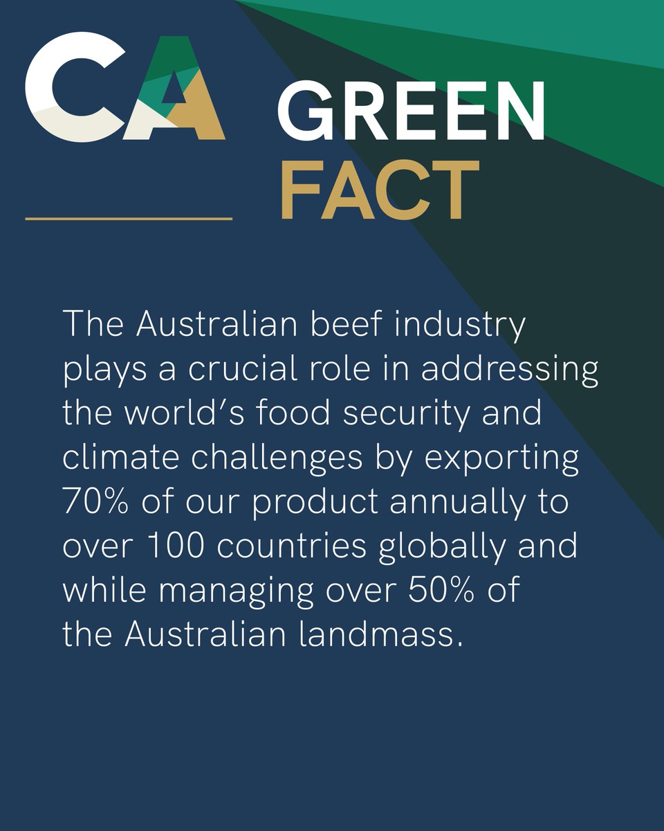 Cattle Australia (@cattleaus) on Twitter photo 