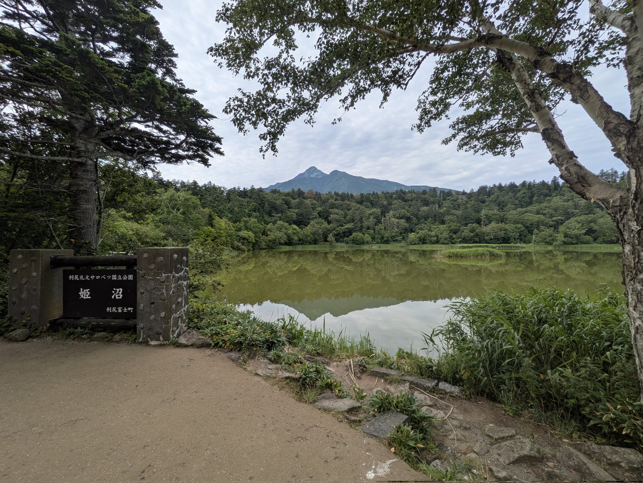油絵 青嵐の利尻岳（オタトマリ沼)Ｆ3 夏のオタトマリ沼に映る逆さ利尻富士の写真素材 [FYI07564257