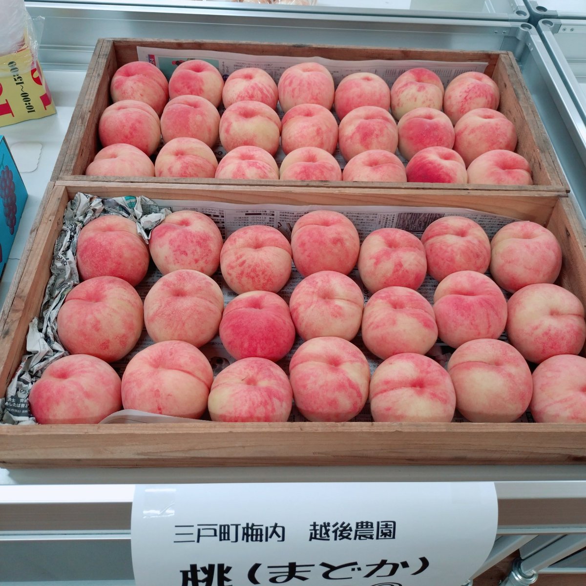 ChizuruECHIGO's tweet photo. 田子町！肉の博明さんでも越後農園の桃(バラ)買えます！🍑🍑🍑
(いつもありがとうございます！) https://t.co/Rrdidh9yW6