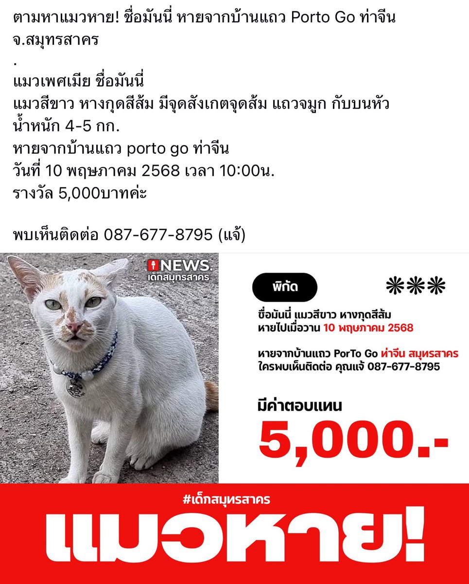 อยากกอดเธอไว้ให้แน่นพอ
เท่าที่เธอต้องการ
อยากบอกรักเธอให้ดัง ๆ
จะพูดให้ดังกว่าเมื่อวาน
ในวันที่ฉันยังมีสิทธิ์ จะจับมือเธอไว้
ฉันจะไม่ปล่อยให้เธอเดียวดาย
แต่ไม่มีสิทธิ์จะทำให้เธออีกแล้ว
#แมวหาย
#มันนี่
#แมวสีขาวหางกุดสีส้ม