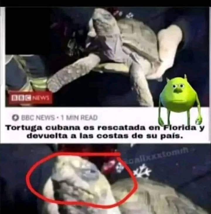 El Mal Corazón ® (@badheartmex) on Twitter photo 