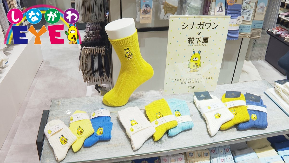 ボクの靴下が発売されるんだワン🧦 靴下屋アトレ目黒店さんとのコラボ