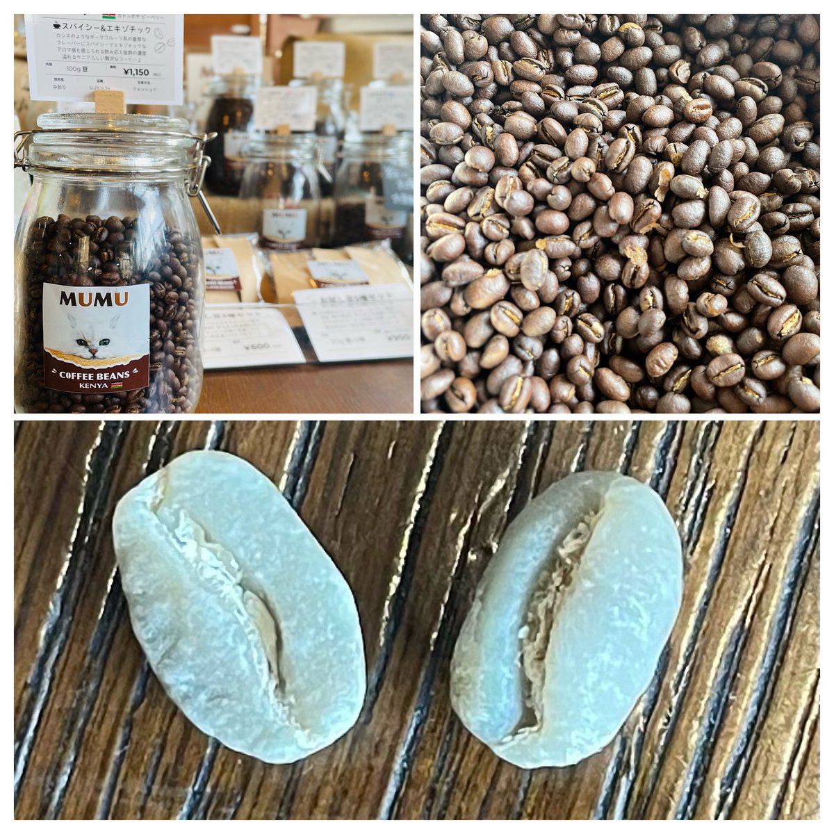 MUMUcoffeebeans's tweet photo. 新入荷豆
ケニア🇰🇪ガトンボヤ　ピーベリー

ピーベリーは手間をかけて選別されるた少しお値段もしますが、クリアで濃厚な味わいと感じるコーヒー愛好家も多い、一度は試して頂きたいコーヒーです☕️

飲みごたえあるボディとスパイシーでエキゾチックな味わいで間違いない一杯です☕️ https://t.co/SBdE0e5OXR