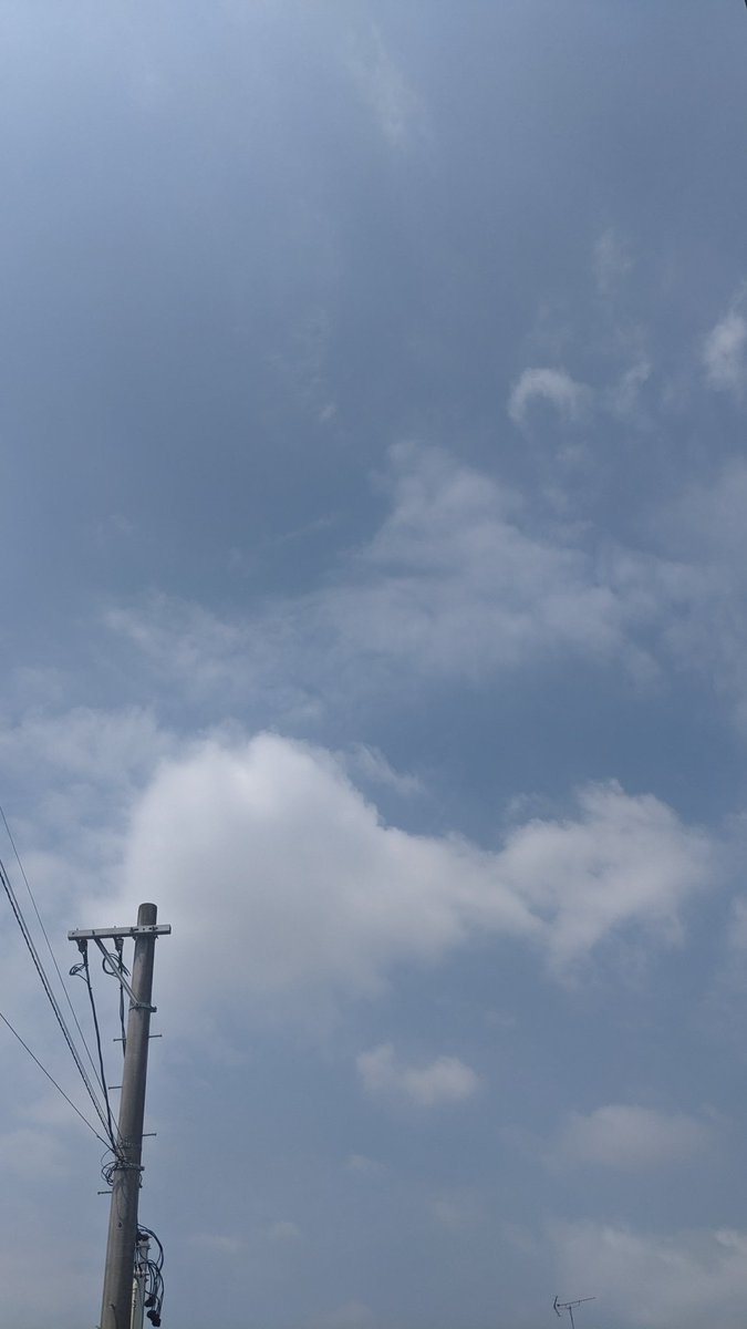 geneless_outlet's tweet photo. ☀おはようございます　#愛知県
本日も11時にオープン致しました

本日も宜しくお願いします
#朝の挨拶　#イマソラ https://t.co/8x4q4cbe05