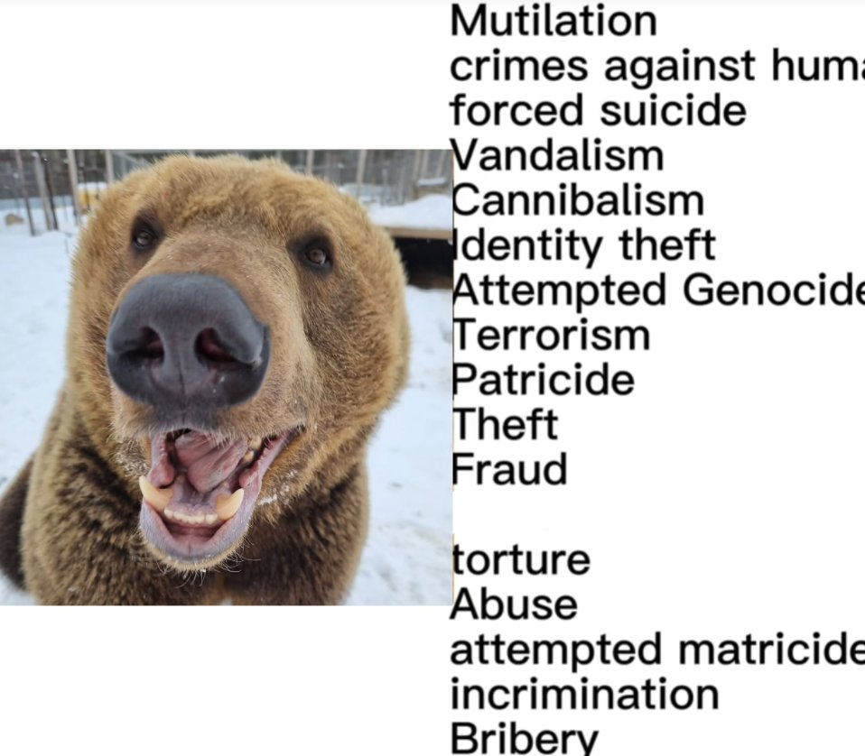 BearyDales (@bearydales) on Twitter photo 