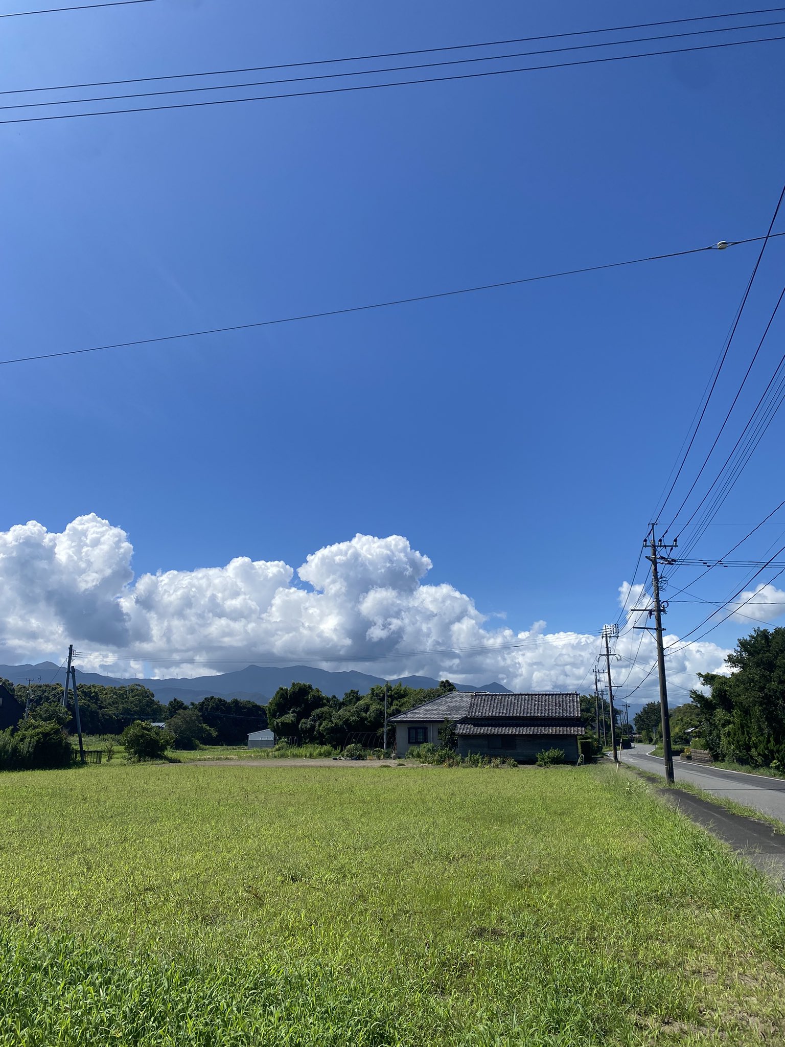 めろ様 (@_A_Z_S_) / X