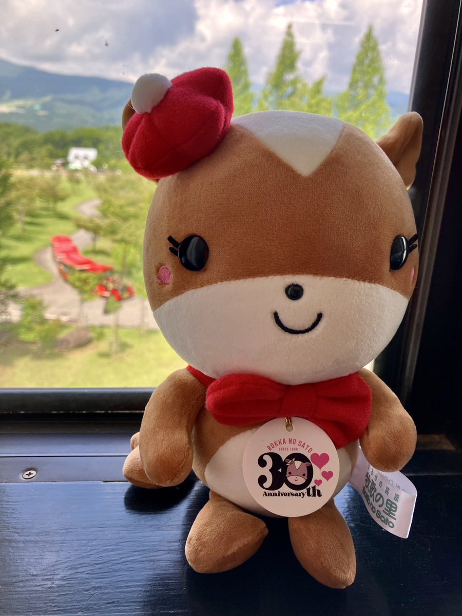 30周年記念あんこちゃんぬいぐるみ』まだ沢山ありますので、連れてお
