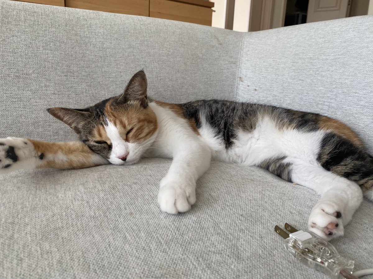 あと10人、いやせめて3人くらい推しを増やして、エネルギーを分散させないとダメかもねぇ
推し活なんて20年ぶりだから、どうすればいいか加減が全っ然、分かんないのです
やりすぎた、うまくいかない、話せない、の連続ですわww