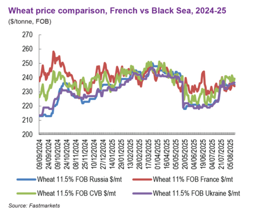 cerefi_grains's tweet photo. 🌾🇫🇷 Le blé français regagne en compétitivité sur la scène internationale face à des origines de qualité équivalente en provenance de la région de la mer Noire.

Cette évolution soutient la demande, aussi bien de la part des acheteurs traditionnels que de nouveaux clients. https://t.co/Ge3VDZaMge