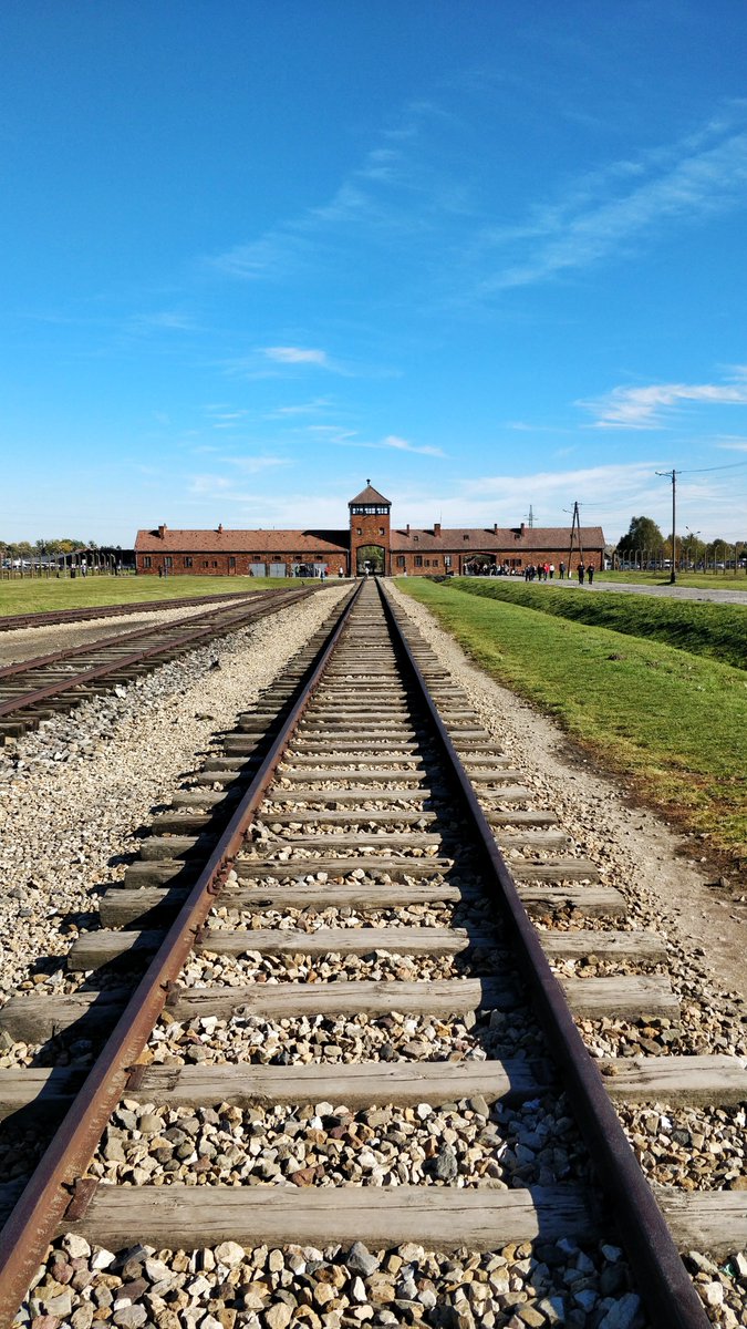 Backpacking Daku tweet media