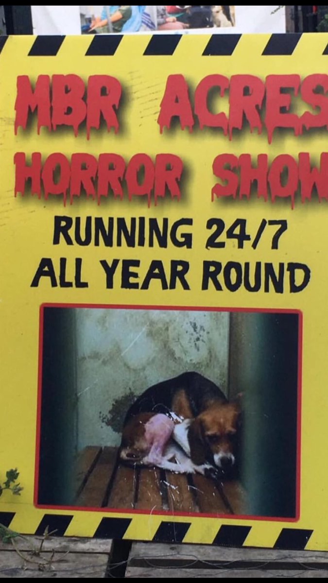 The Police are at the gates of MBR Acres which indicates Impex
Couriers will collect an assignment  of beagle puppies to toxicology labs…………. Let’s just think about that