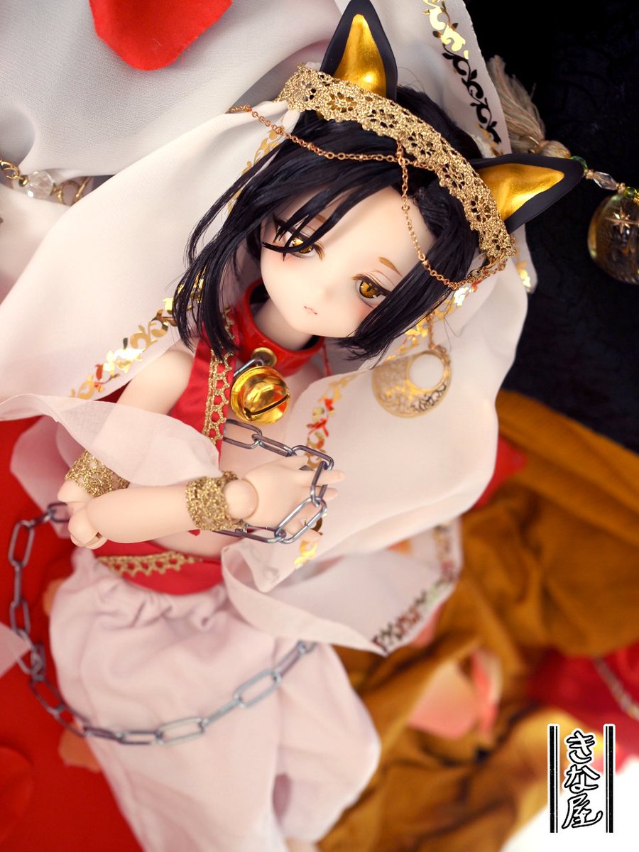 ≪8月のカスタムテーマ≫ 
🌙アラビアン・ノクターン🌙

月夜に揺れる、金の影。
夜の帳から現れたのは、今宵一晩を過ごす主人を探す金の猫だったー。

#きな息 #きな物 #ミスクロファッション