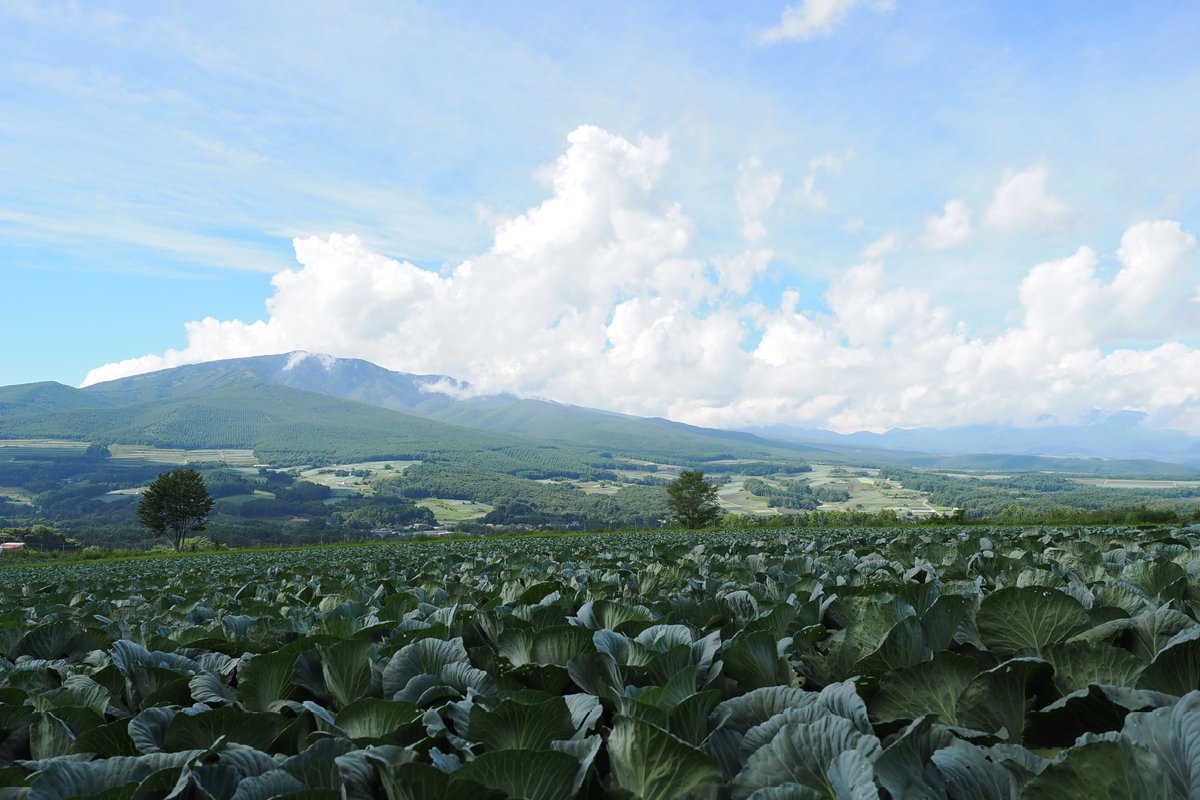 I'm at 嬬恋村 in 群馬県 swarmapp.com/user/7687254/c…