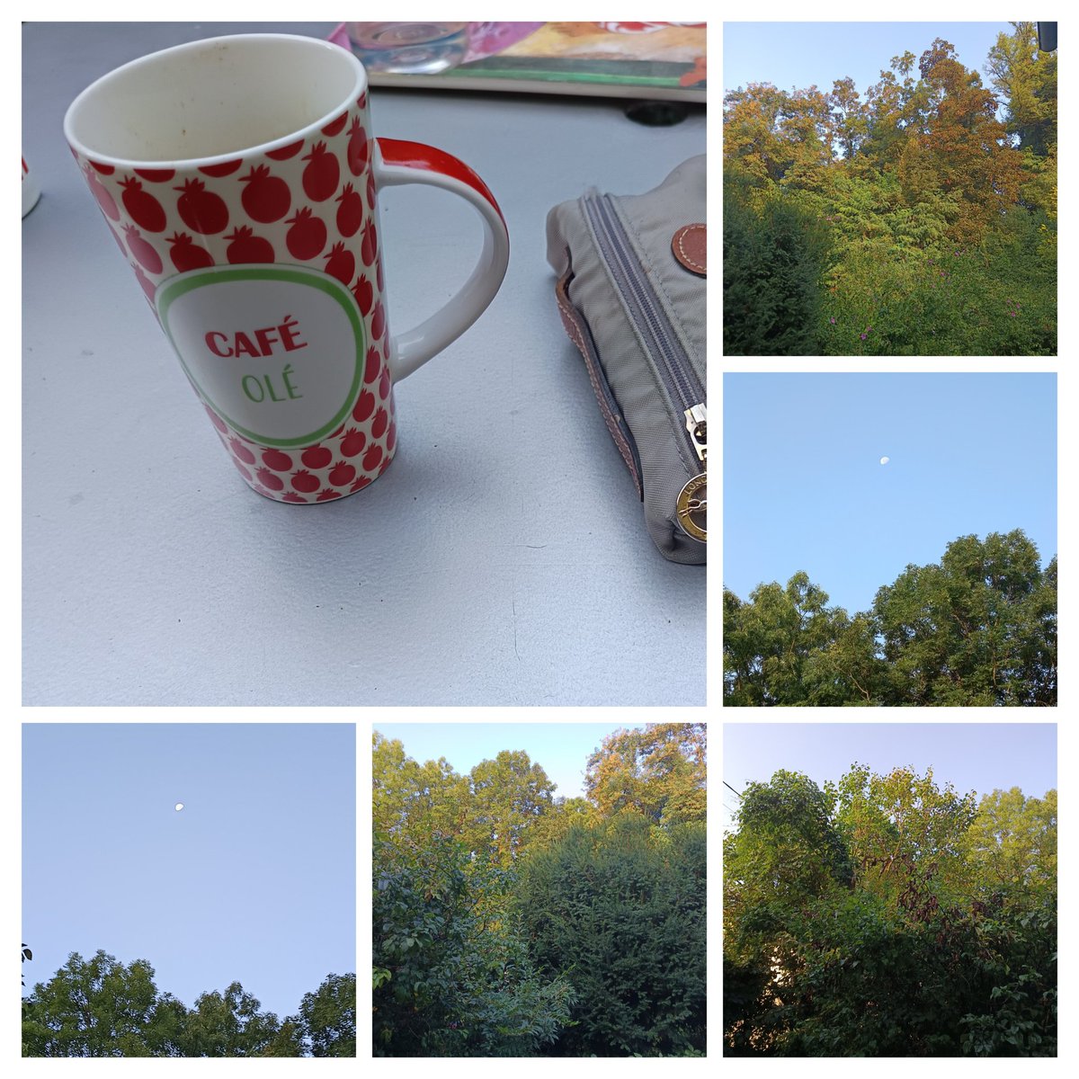 Depuis mon jardin 👋🌳🦟🌞👒
Un doux matin où le café réchauffe les mains et où la lune joue les invitées tardives, veillant encore au-dessus du jardin baigné de lumière naissante. 🌿☕🌙
Je vous souhaite une excellente journée 😎. Bisous 😘 💋